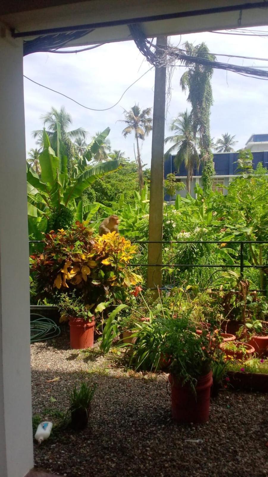 Indeevaram Residency Thiruvananthapuram Eksteriør billede